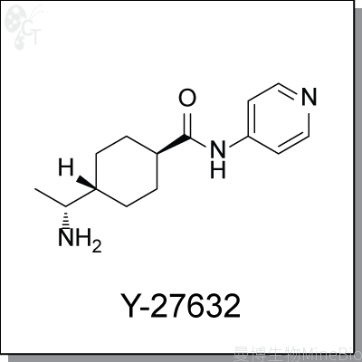 小分子抑制剂Y-27632结构式-曼博供应 小分子抑制剂Y-27632结构式-曼博供应