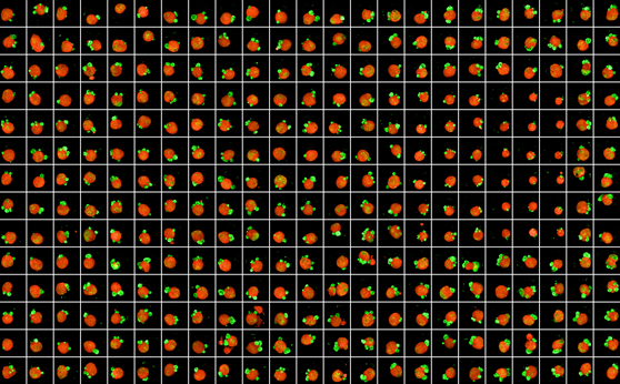 Akura 384 ImagePro