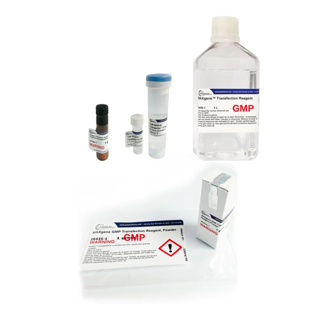 从科研级到cGMP级PEI转染试剂：美国Polysciences几十年全线供应方案为基因和细胞治疗产业赋能
