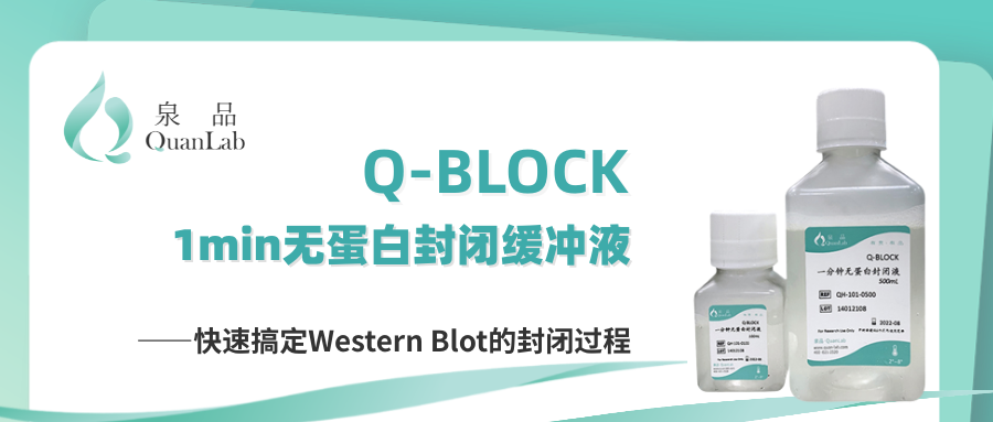Q-BLOCK 1min无蛋白封闭缓冲液——快速搞定Western Blot的封闭过程