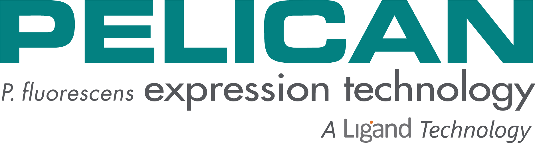 PeliCRM197