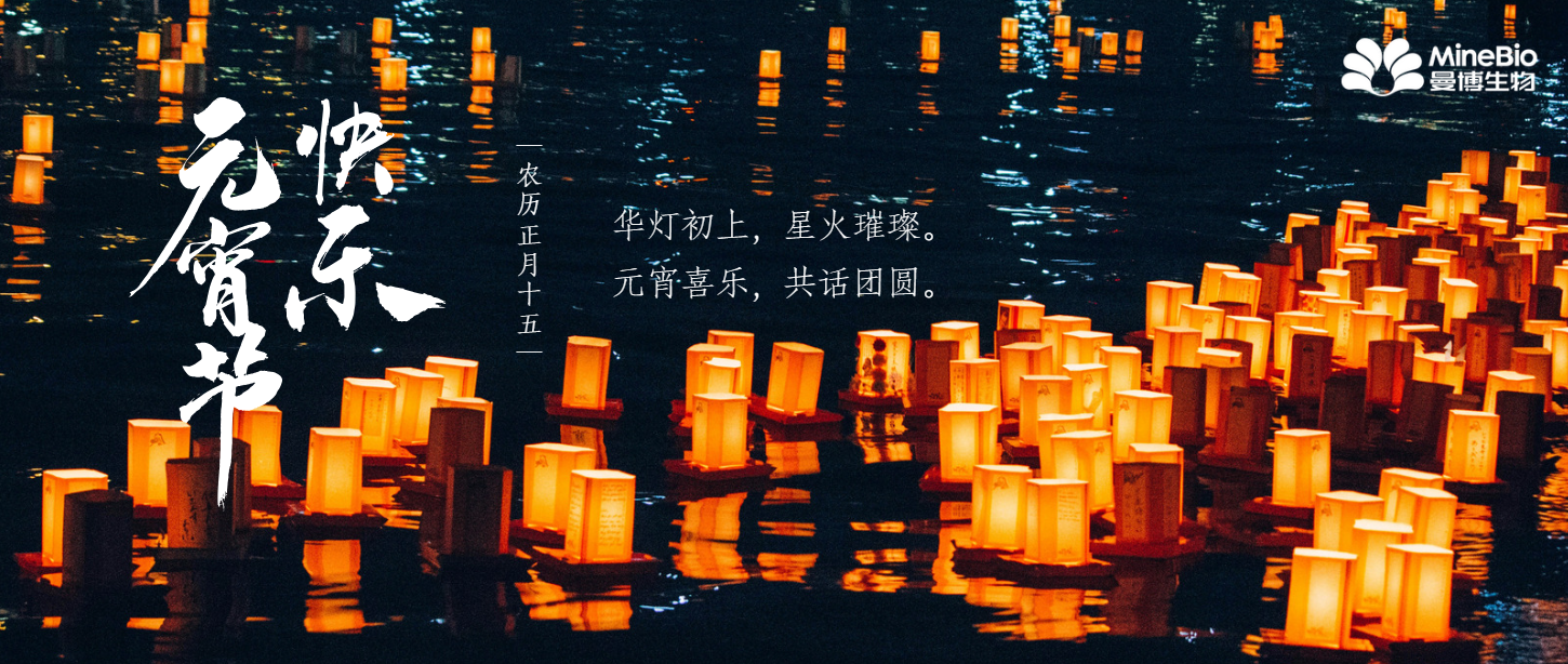 元宵喜乐 | 月与灯依旧，人与人长久
