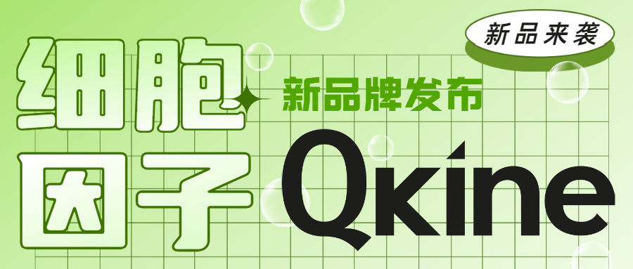 产品上新｜英国QKine高纯度、高活性、无动物成分的细胞因子
