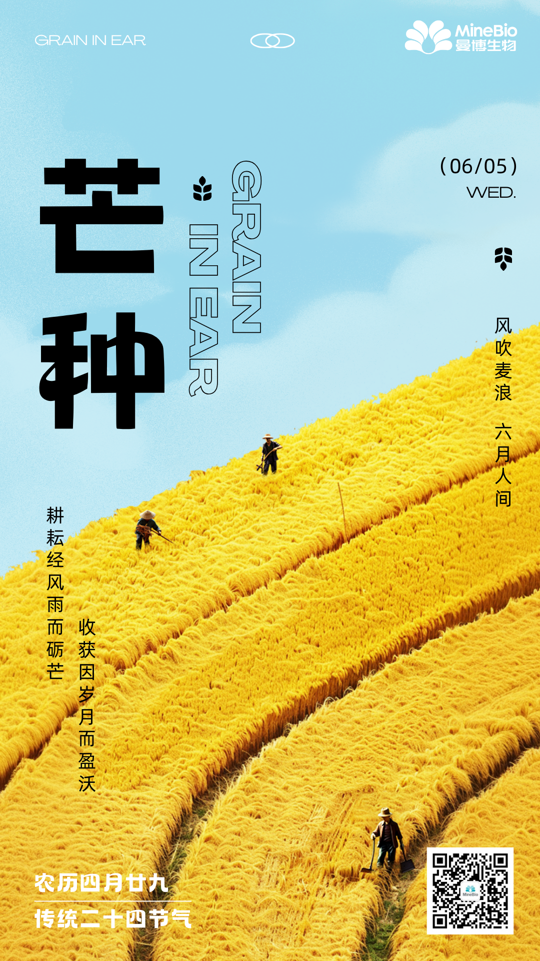 芒种 | “芒”有所获，“种”有所得