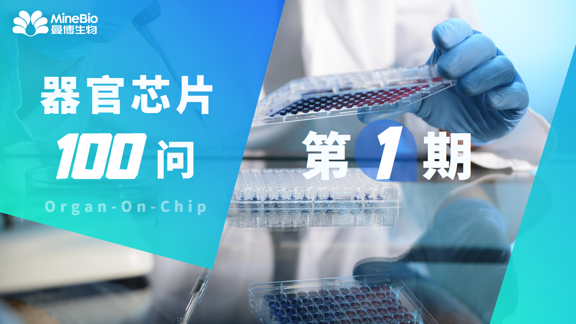 【器官芯片100问】第1期_organ-on-chip_OOC