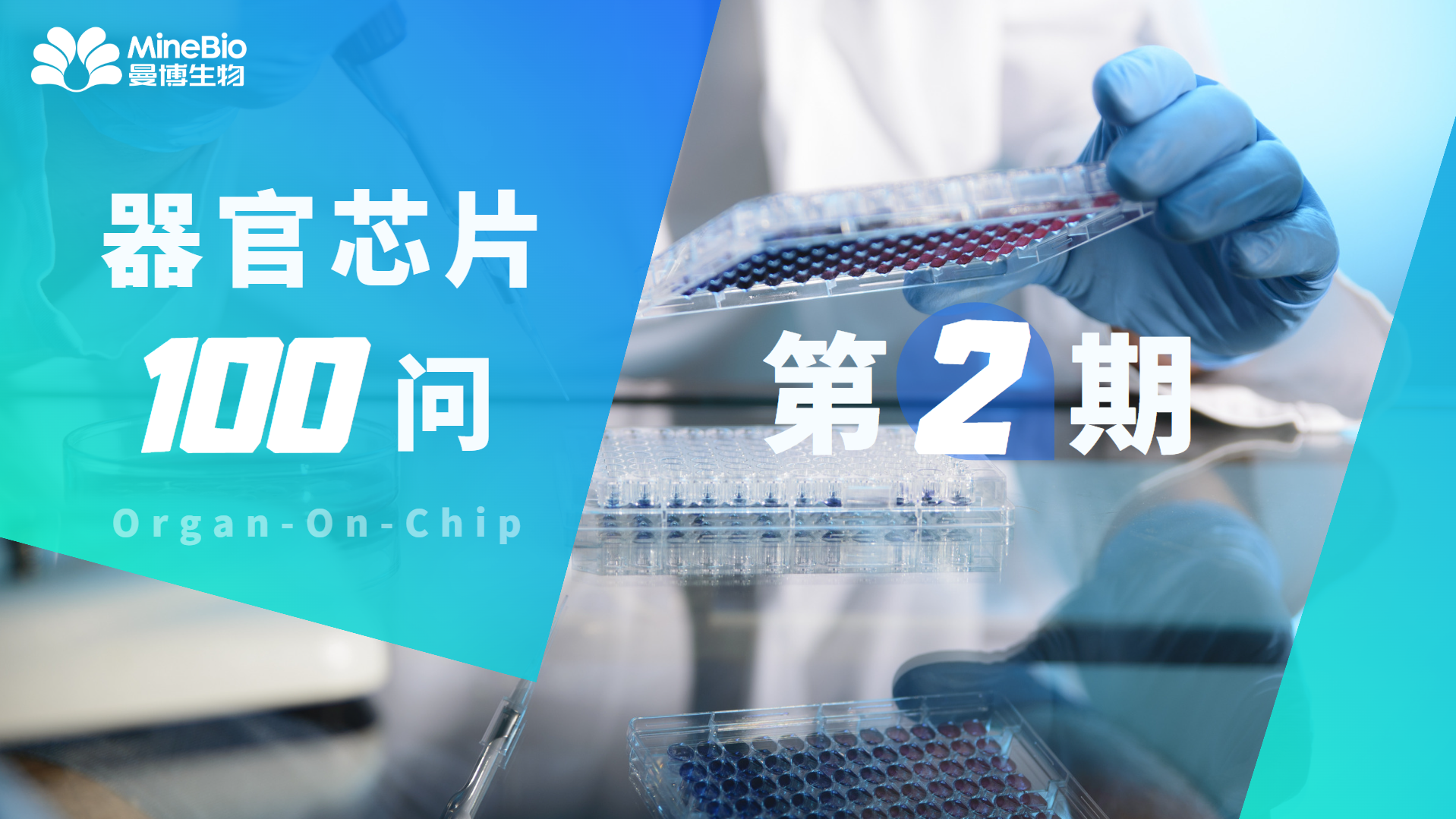 【器官芯片100问】第2期_organ-on-chip_OOC