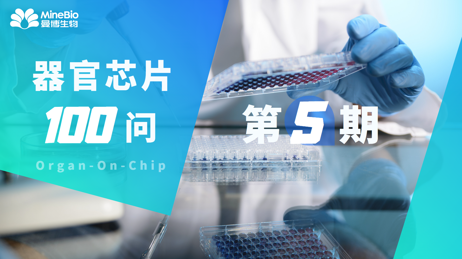【器官芯片100问】第5期_微流控_OOC