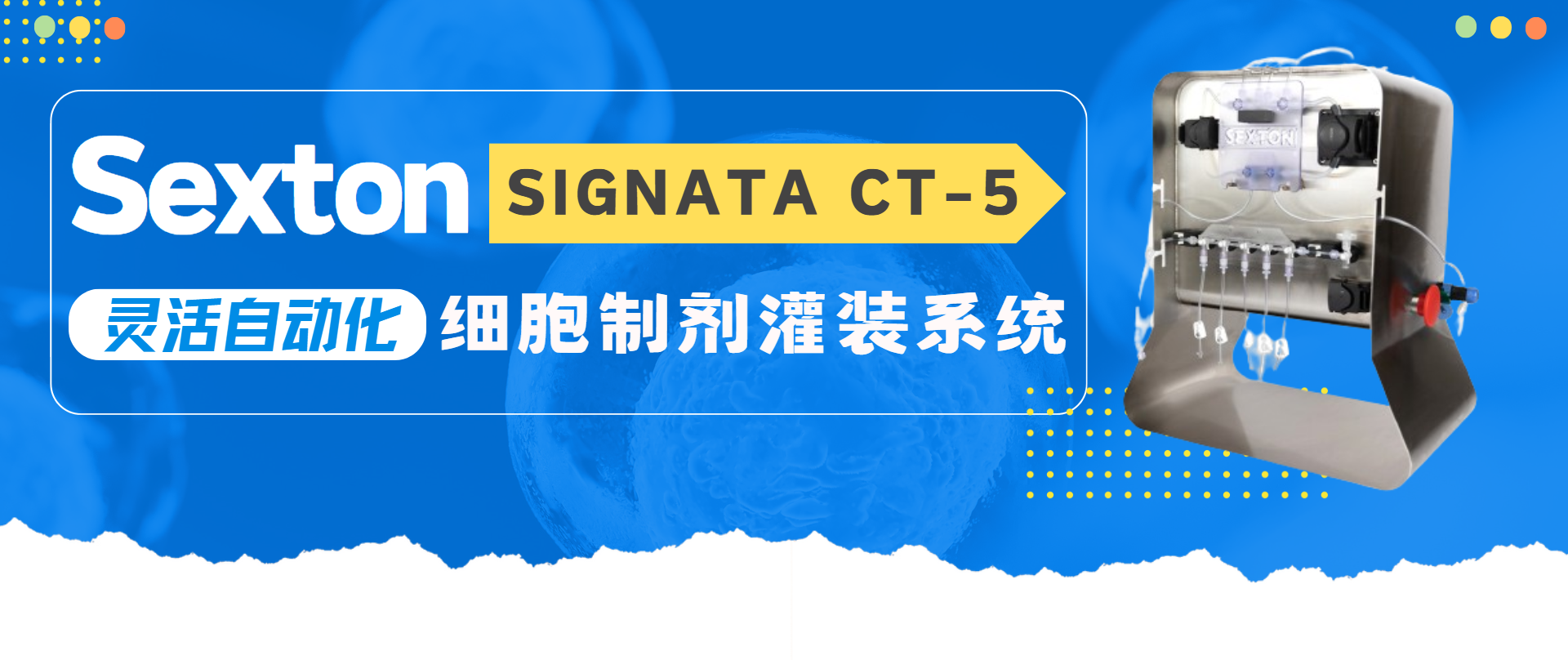 技术速递——Sexton Signata CT-5灵活自动化细胞制剂灌装系统