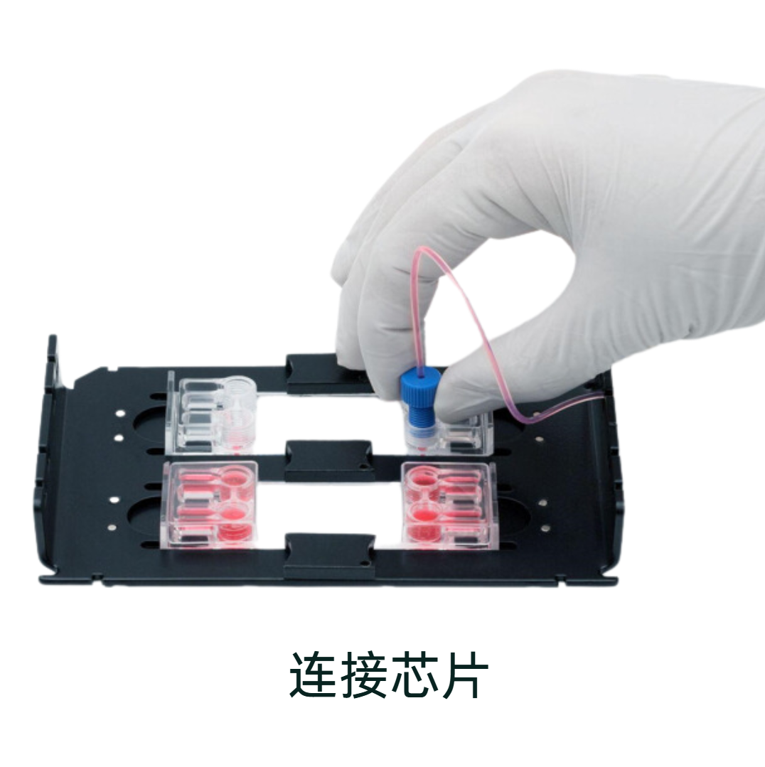 Beonchip 配件和连接