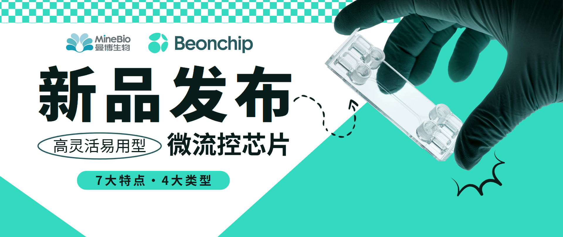 新品发布 | 高灵活易用型Beonchip微流控芯片