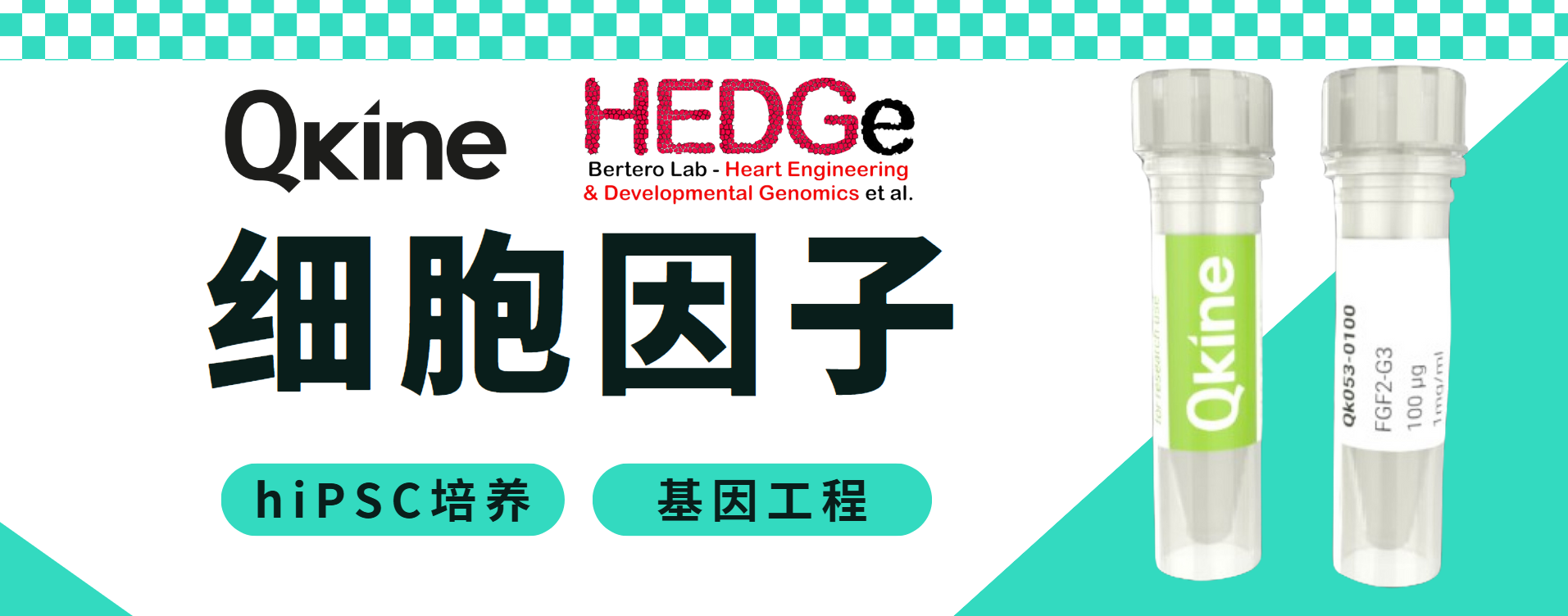 Qkine细胞因子：助您实现经济有效的hiPSC培养和基因工程