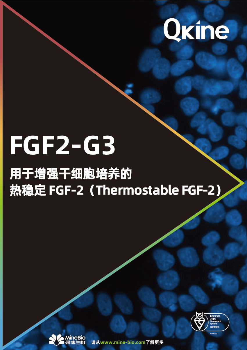 Qkine - 热稳定 FGF2-G3产品资料