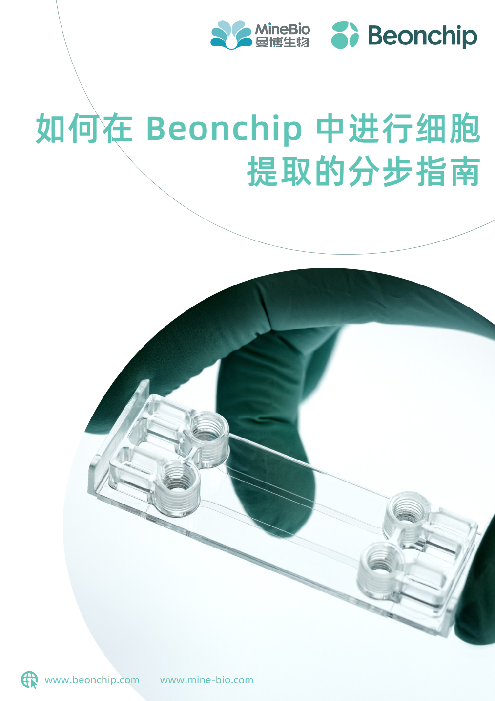 如何在 Beonchip 中进行细胞提取的分步指南
