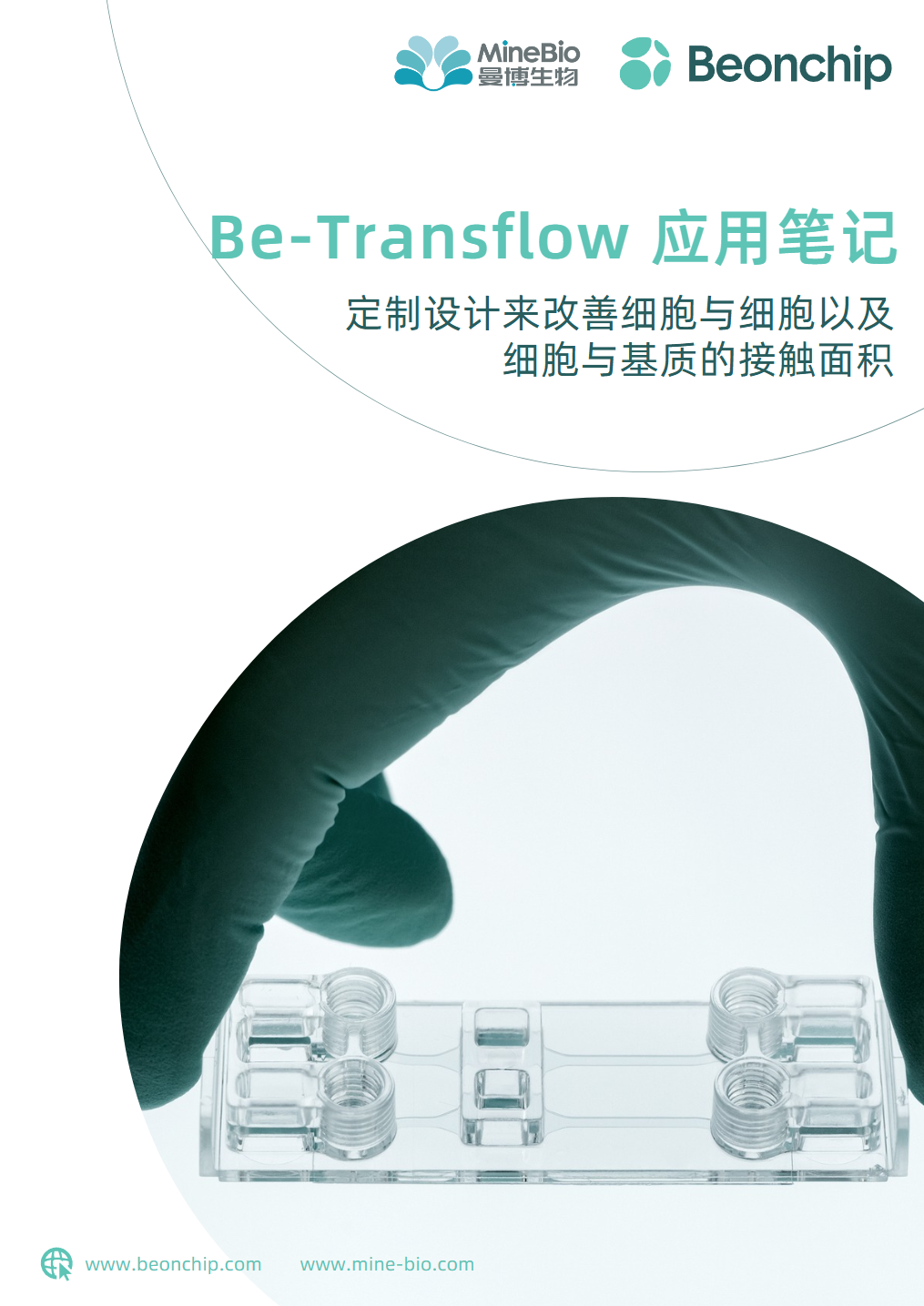Be-Transflow 应用笔记：定制设计来改善细胞与细胞以及细胞与基质的接触面积