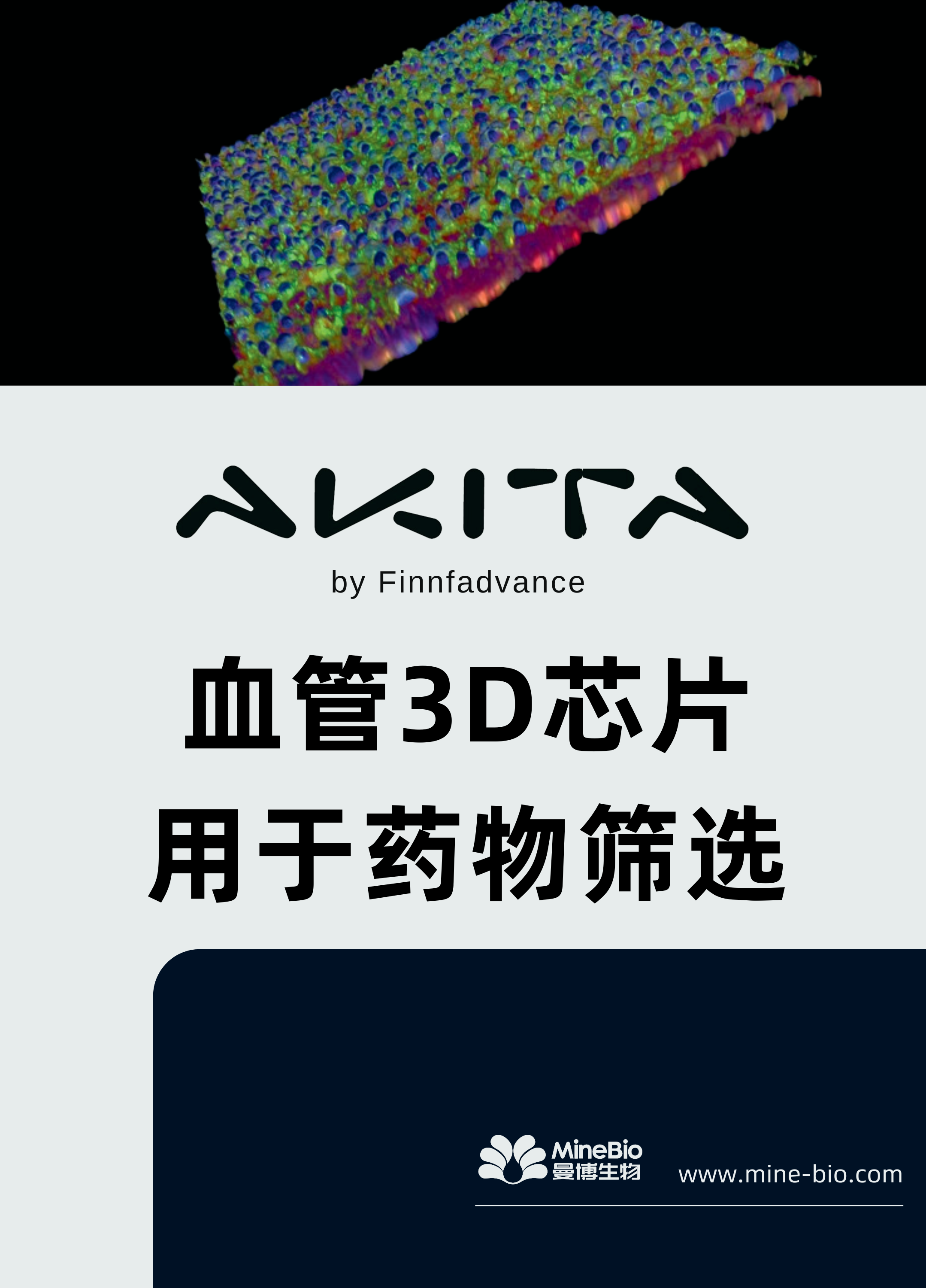 血管 3D 芯片用于药物筛选
