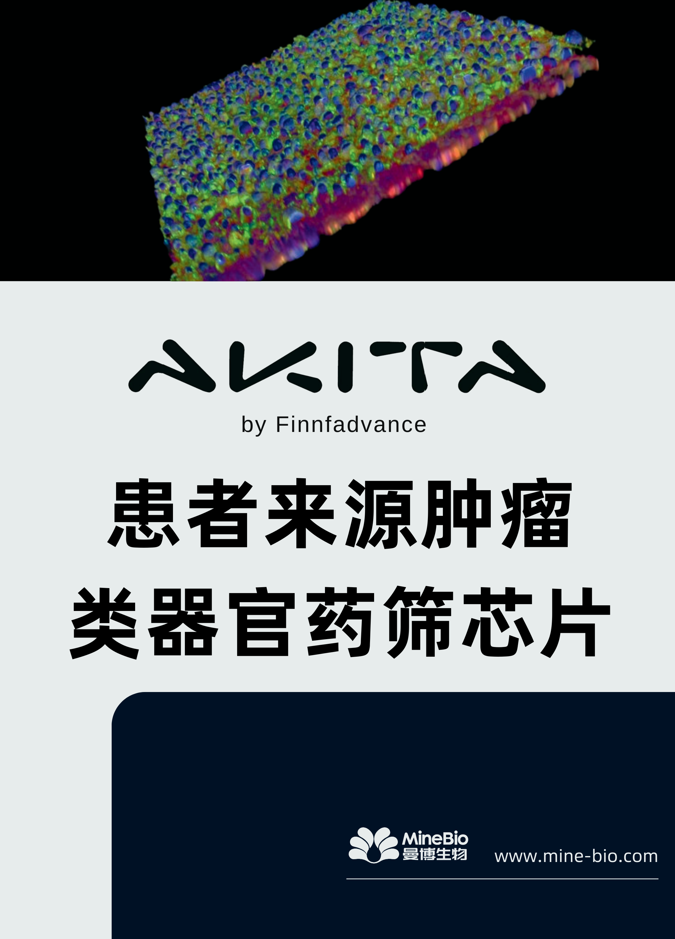 患者来源肿瘤类器官药筛芯片