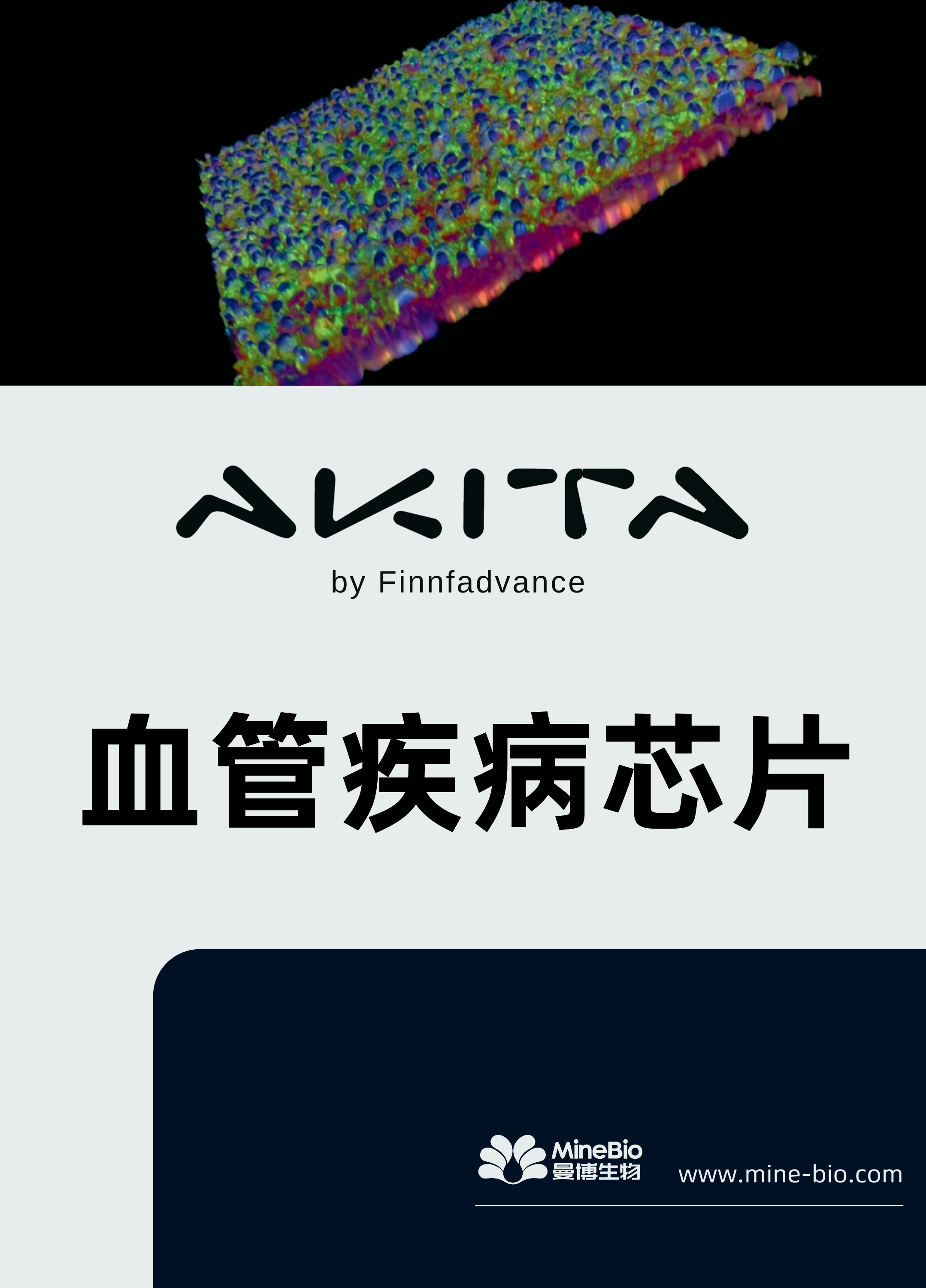 血管疾病芯片AZ