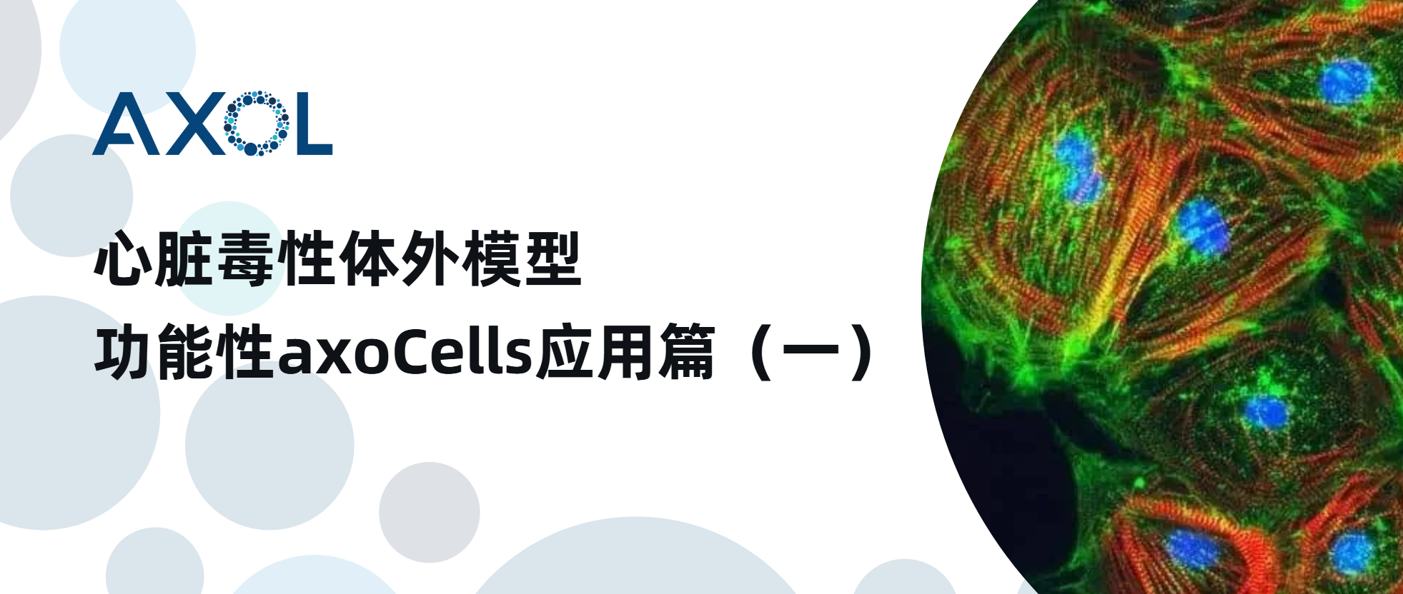 心脏毒性体外模型-功能性axoCells应用篇（一）