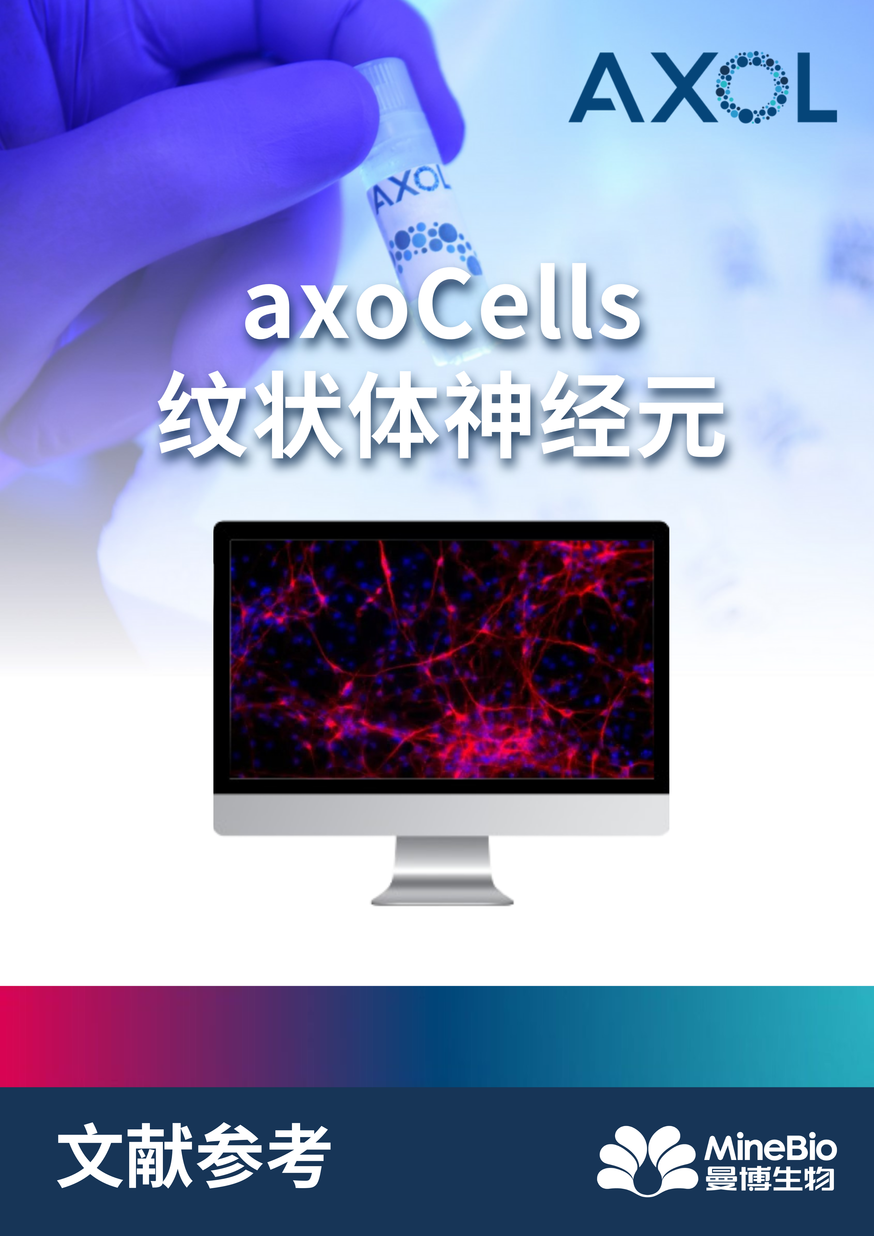 文献参考-axoCells纹状体神经元