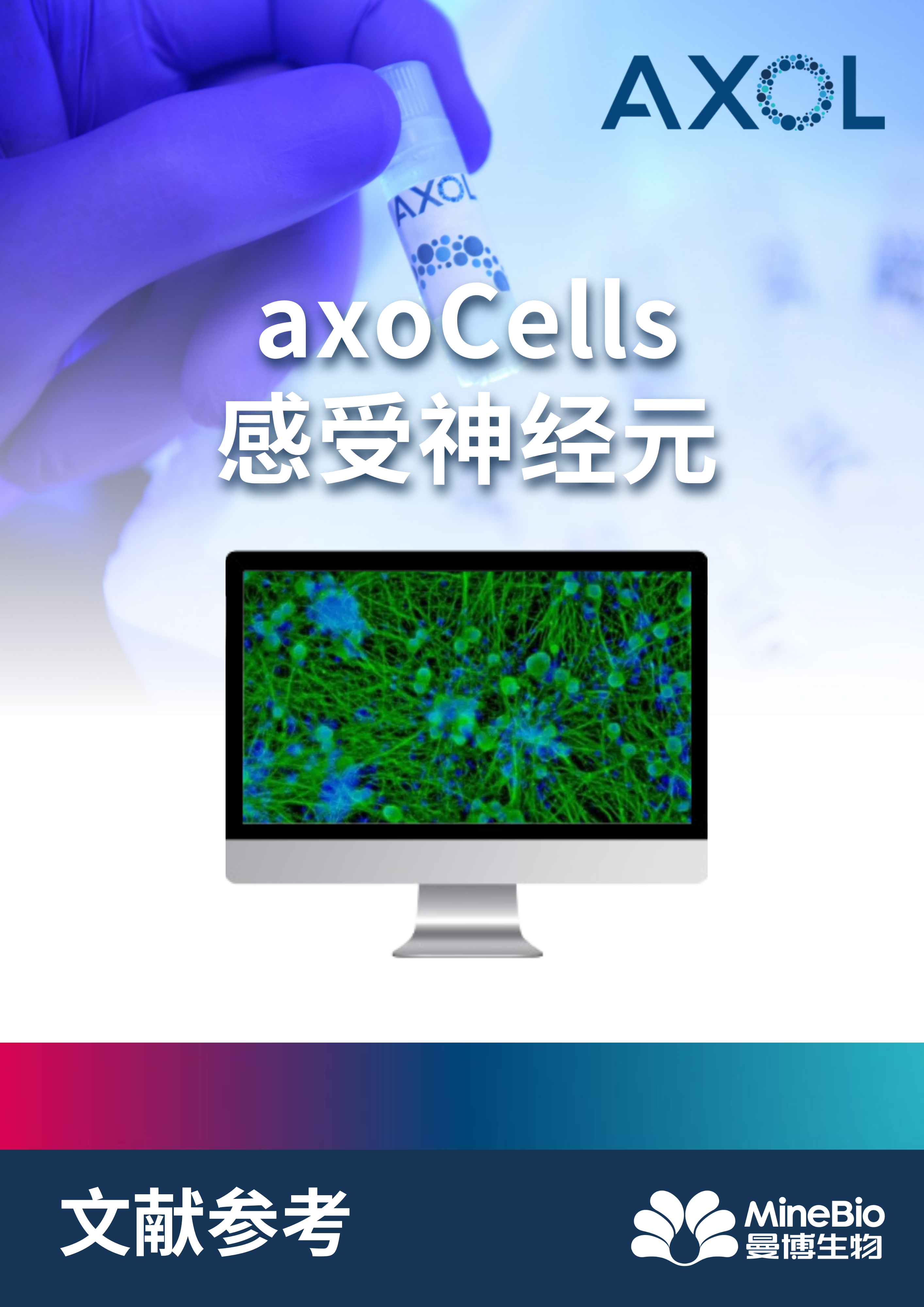 文献参考-axoCells感受神经元