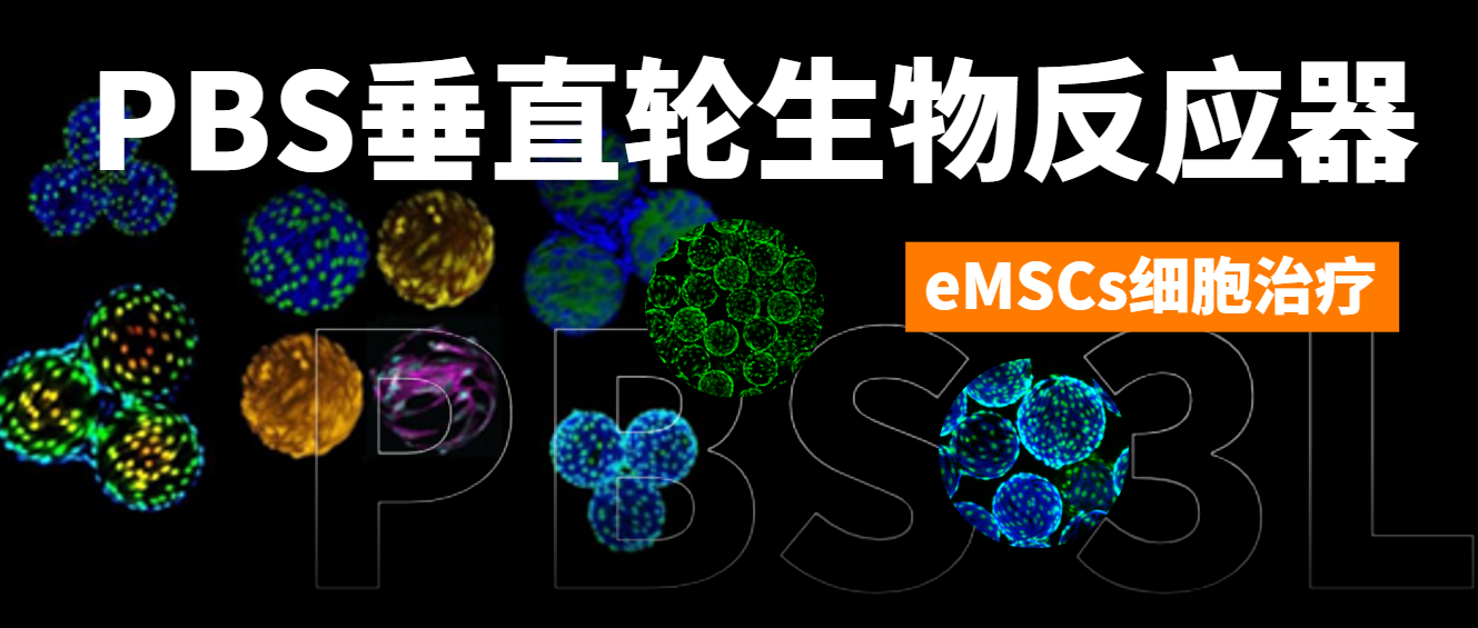 PBS垂直轮生物反应器：推动eMSCs细胞治疗迈向临床