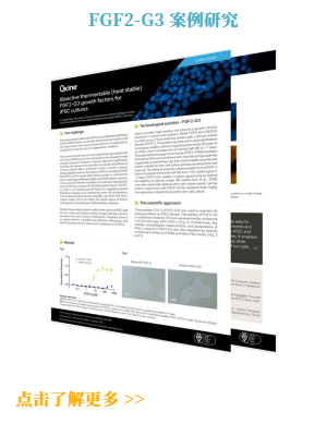 FGF2-G3 案例研究