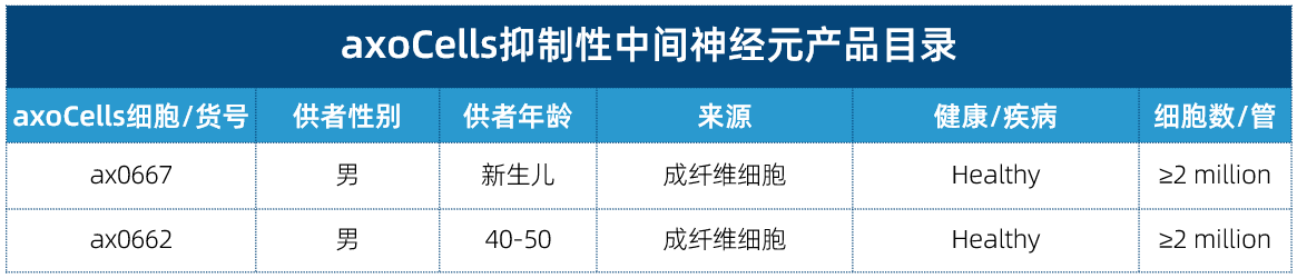 axoCells抑制性中间神经元产品信息
