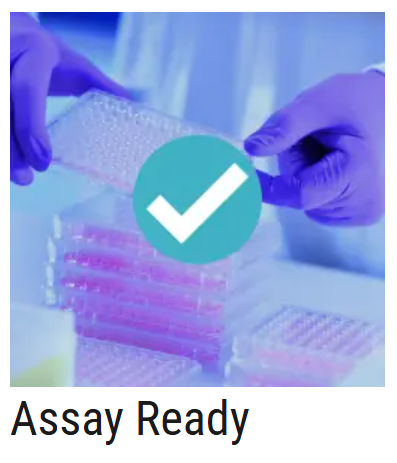 AXOL Assay Ready