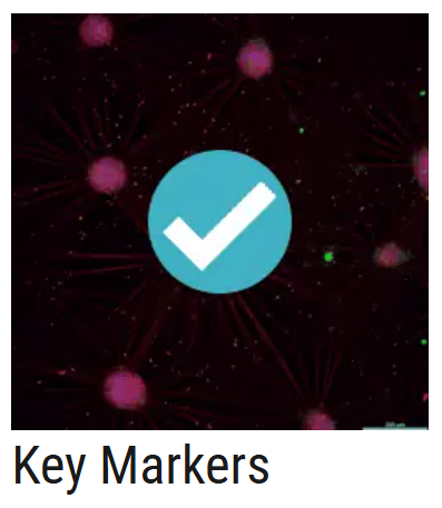 AXOL Key Markers