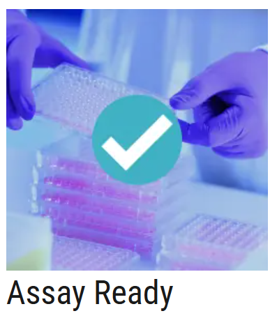 AXOL Assay Ready