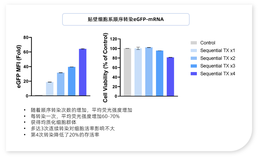 多次连续转染