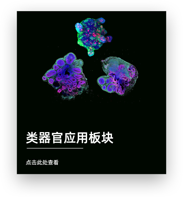 类器官应用