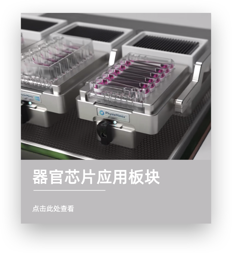 器官芯片应用