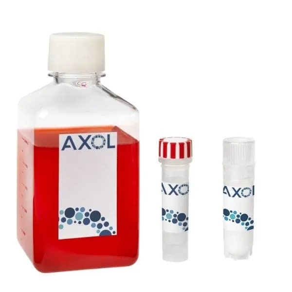 axoCells心房心肌细胞试剂盒
