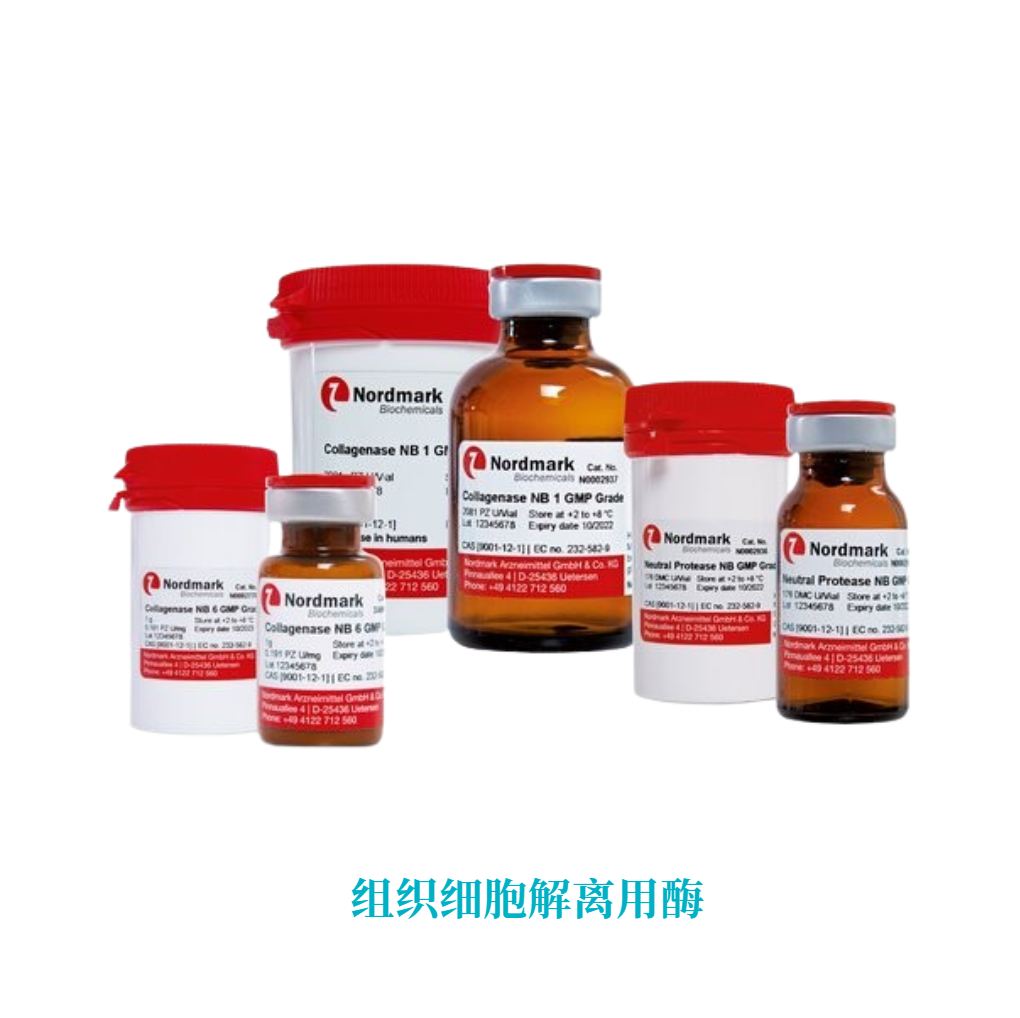 组织细胞解离用酶