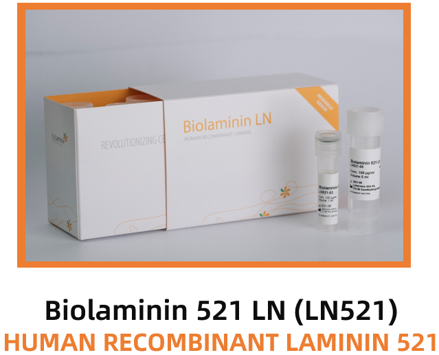 BioLamina-Biolaminin521LN