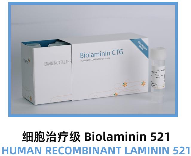 BioLamina-Biolaminin521MXCTG