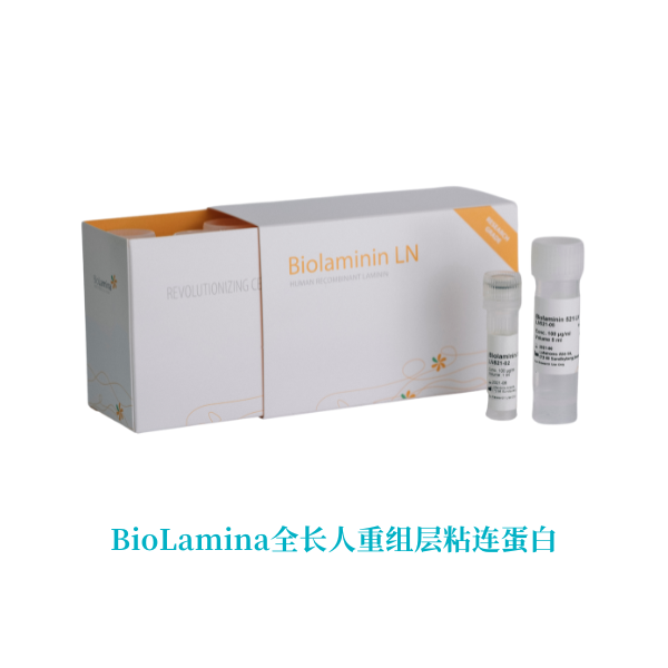 BioLamina全长人重组层粘连蛋白