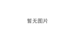 HLA-A2 EndoC-βH5 人源胰岛B细胞