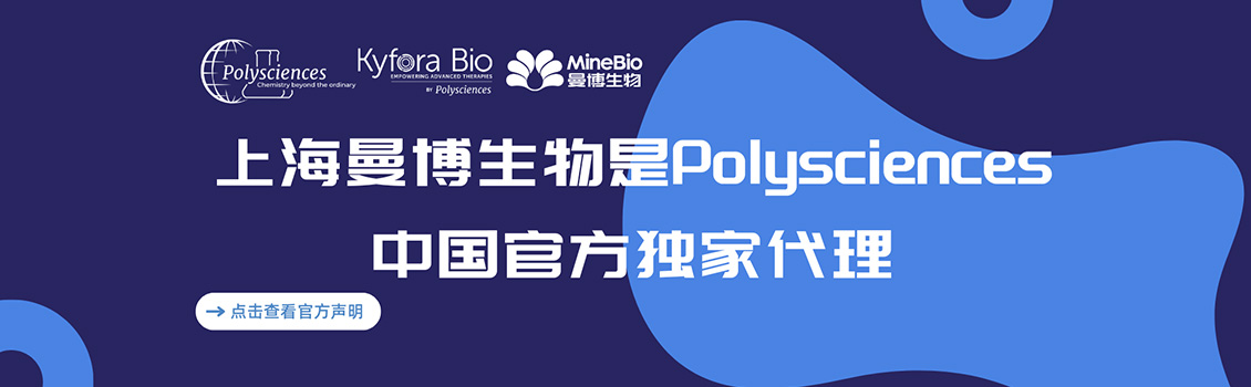 PEI转染试剂
