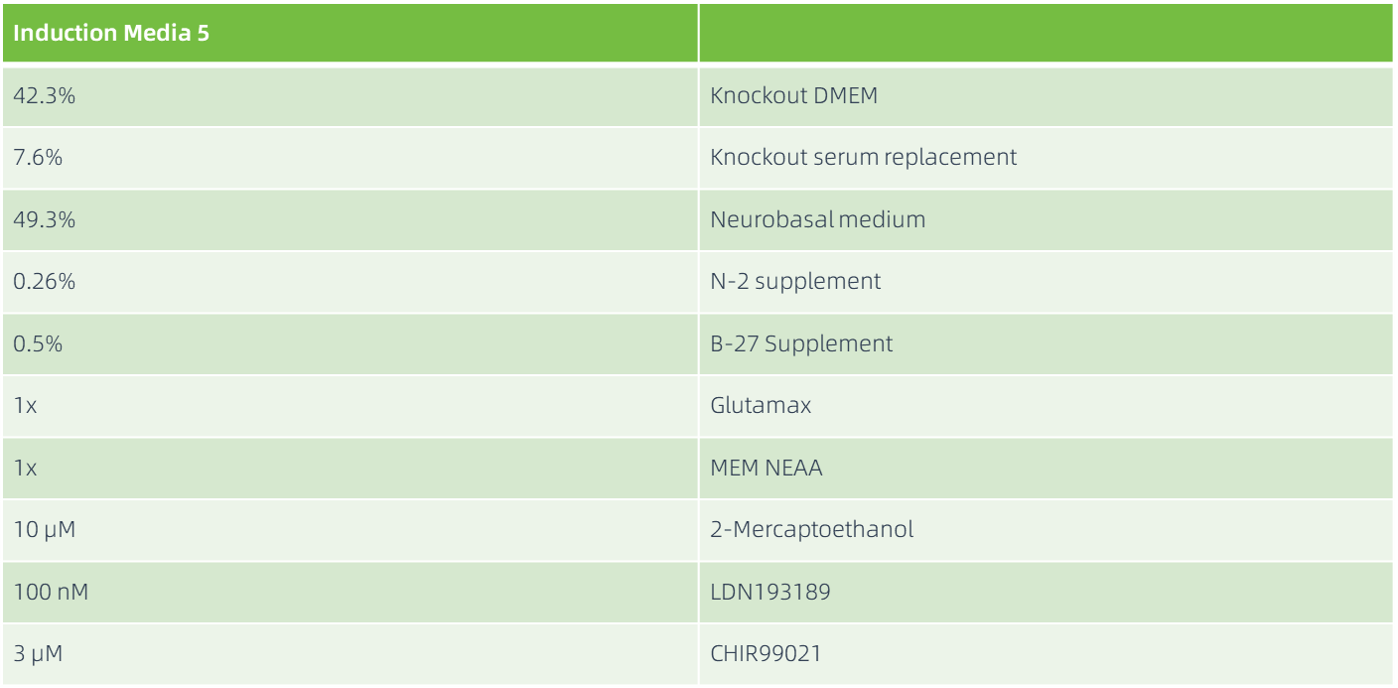 使用Induction Media 5更换培养液