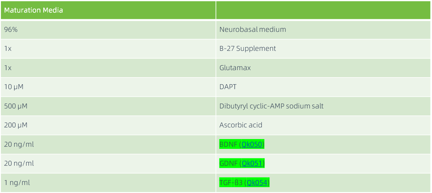 使用Maturation Media更换培养液