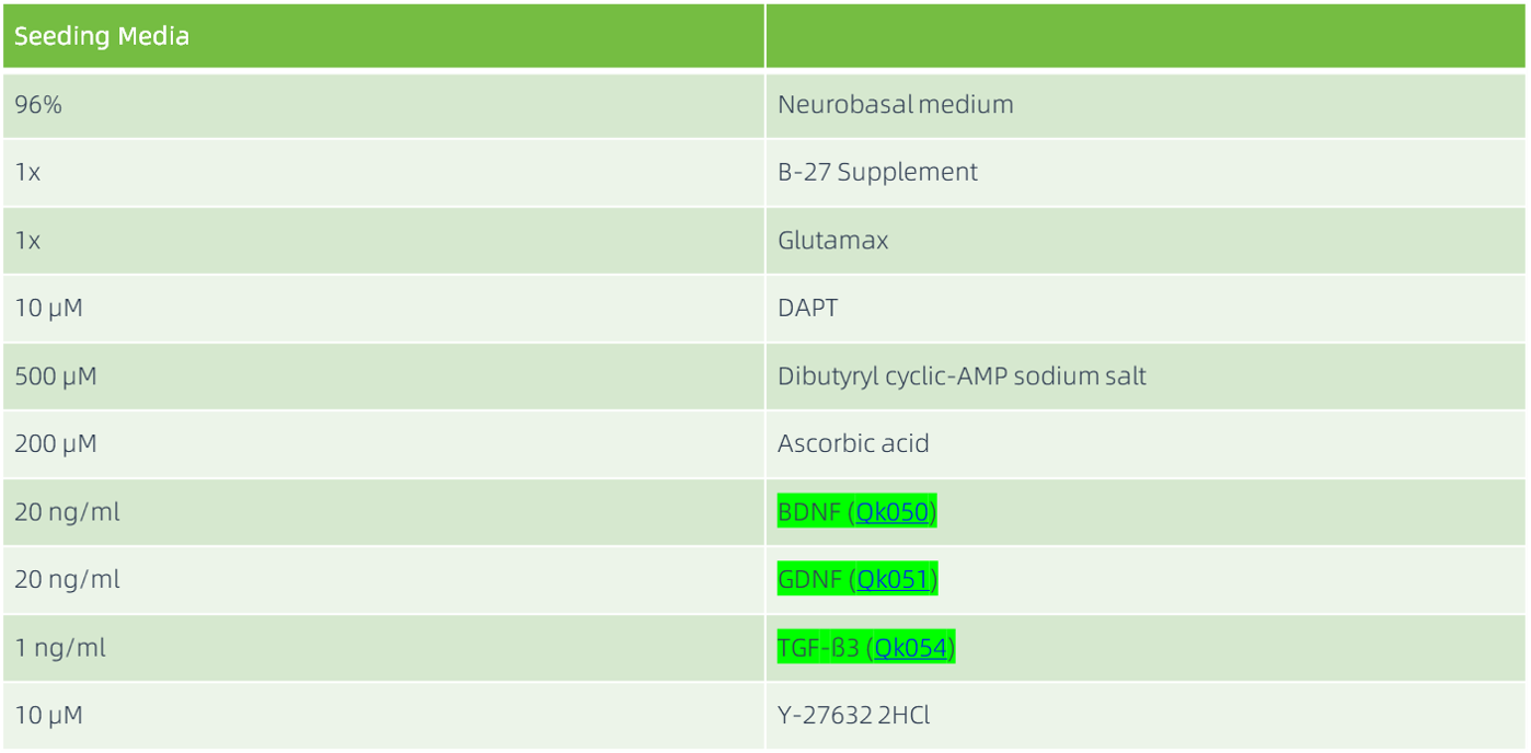 底板球状体的分离与传代