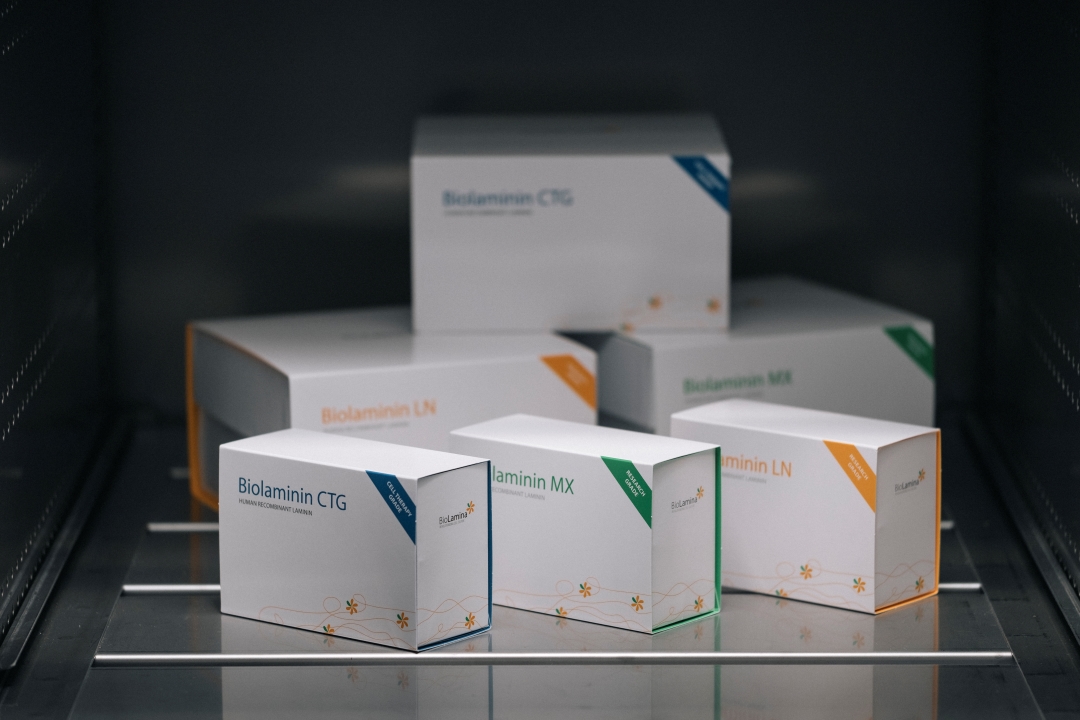 BioLamina-Laminin521从科研到治疗级的良好选择