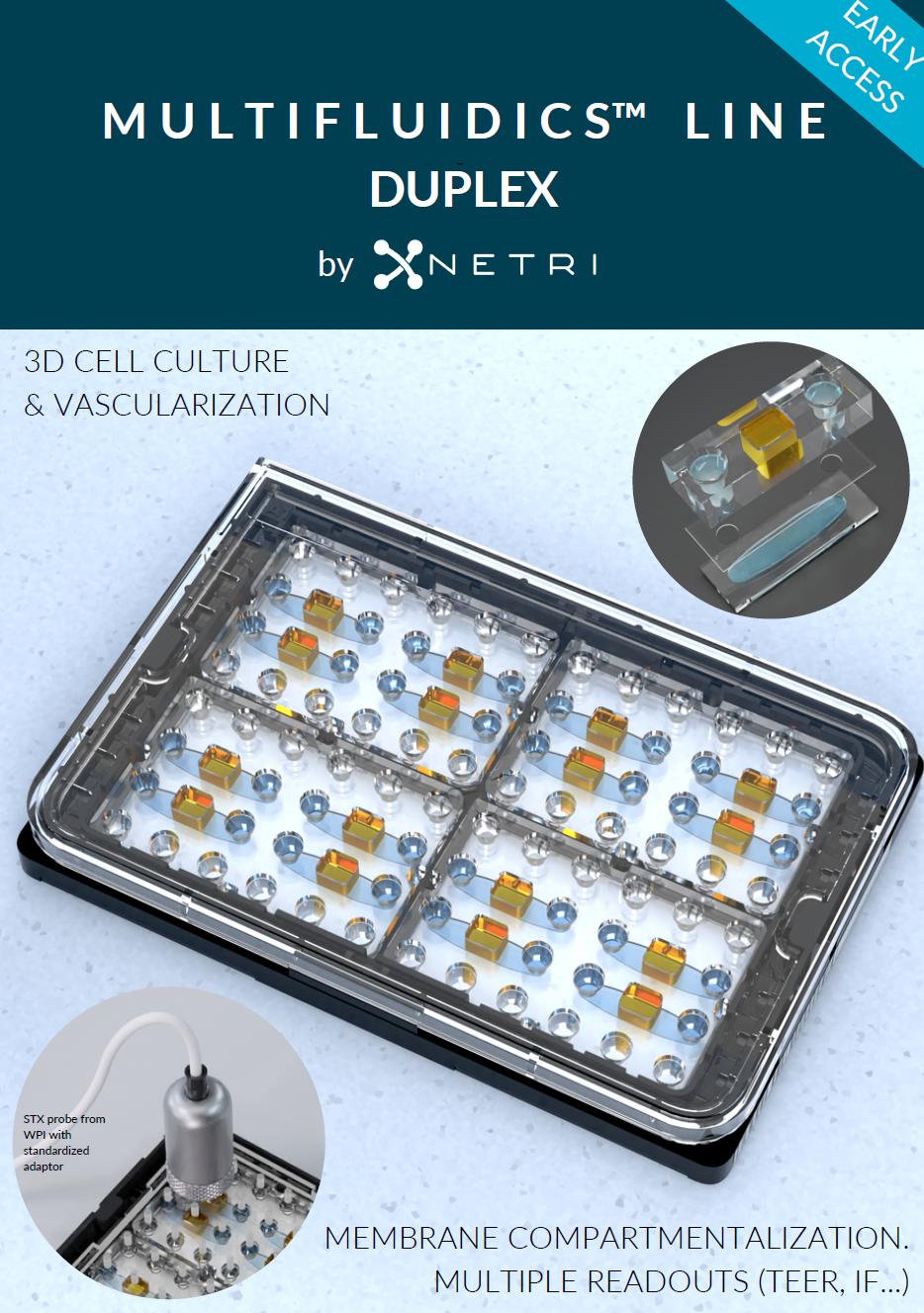 NETRI 神经 3D屏障模型芯片