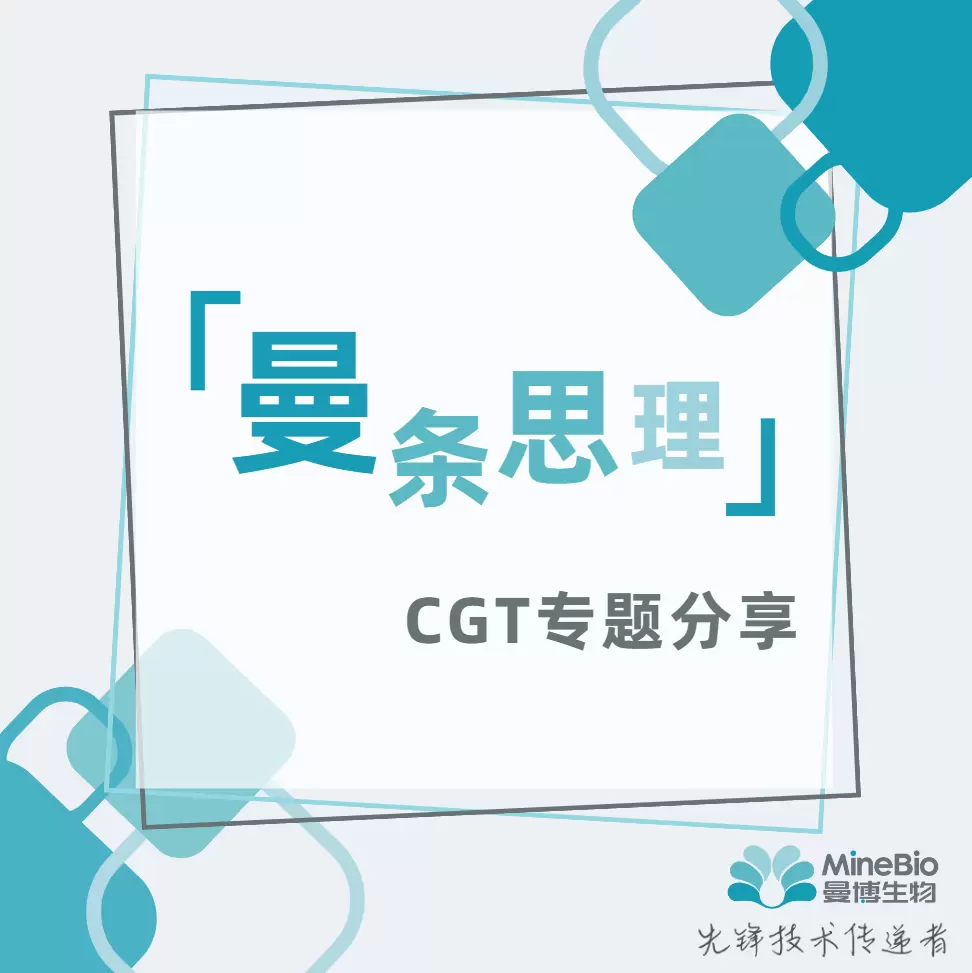 曼条思理系列