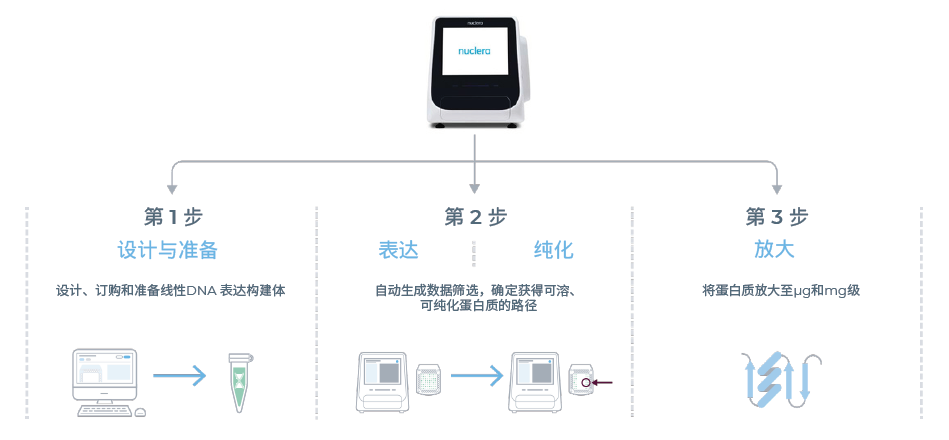 nuclera蛋白原型系统工作流程