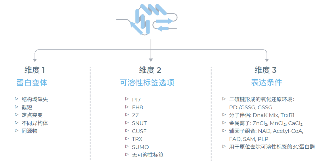 nuclera蛋白原型系统探索多种表达组合