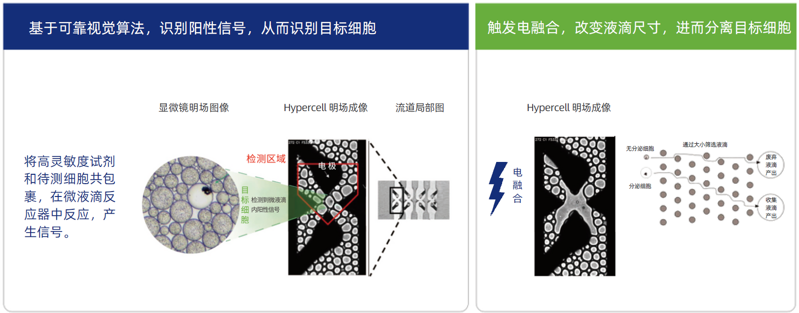 高通量单细胞筛选系统筛选原理