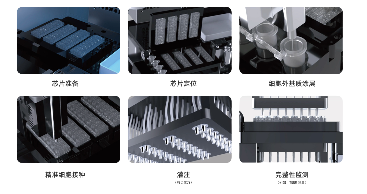 Mepsgen自动化微生理系统功能